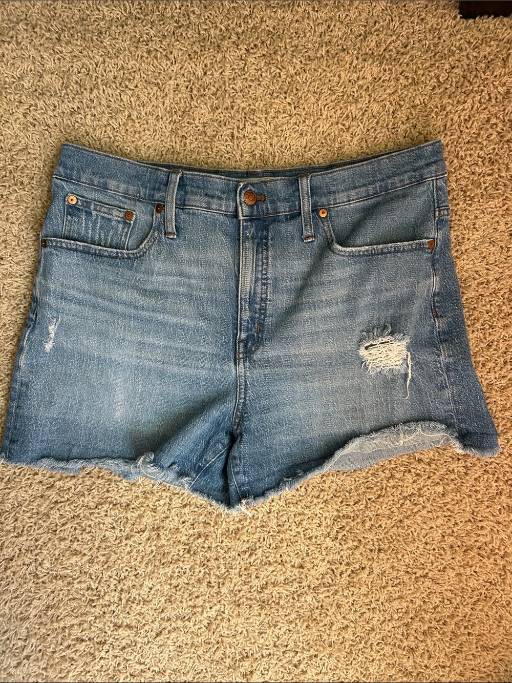 High Rise Denim Shorts